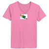 Ladies ComfortSoft ® V Neck Tee Thumbnail